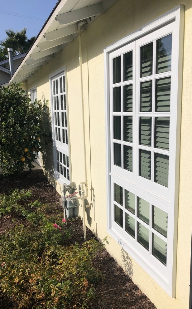 doors-and-windows-5 Two white-trimmed windows on a light yellow house with plants and a small lemon tree nearby.